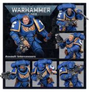 Obrázek SPACE MARINES: ASSAULT INTERCESSORS