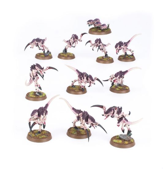 Obrázek TYRANIDS: HORMAGAUNTS
