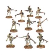 Obrázek T'AU EMPIRE: KROOT CARNIVORE SQUAD