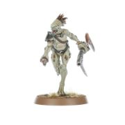 Obrázek T'AU EMPIRE: KROOT CARNIVORE SQUAD