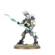 Obrázek SYLVANETH: KURNOTH HUNTERS