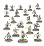 Obrázek FLESH-EATER COURTS: CRYPT GHOULS