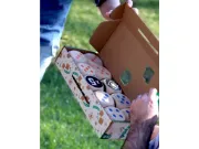 Obrázek Pock!