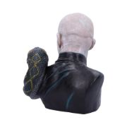 Obrázek Busta Lord Voldemort (30 cm)