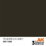 Obrázek AK Interactive: General Series - Tenebrous Grey