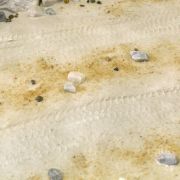 Obrázek AK Interactive: Terrains - Desert Sand