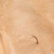 Obrázek AK Interactive: Terrains - Sandy Desert